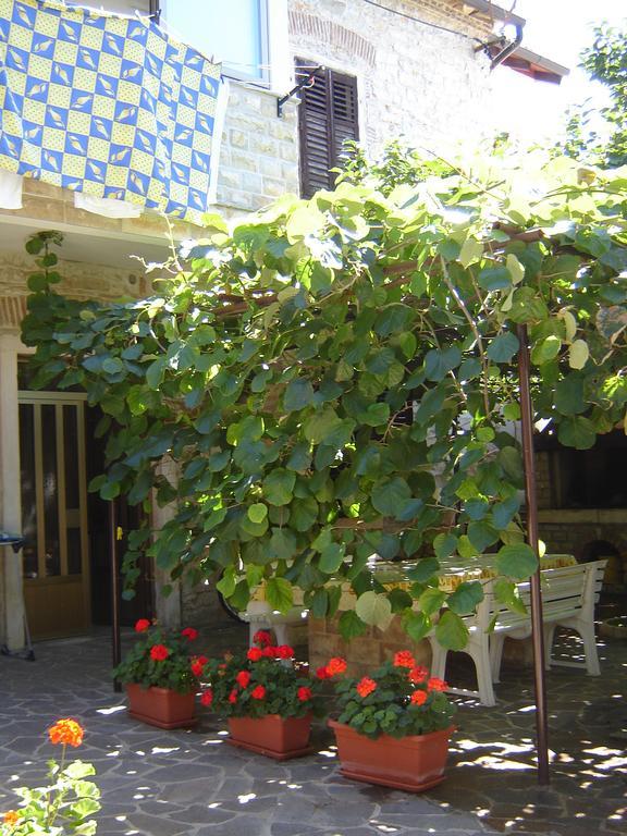 Studios Slavica Novigrad Istria Quarto foto